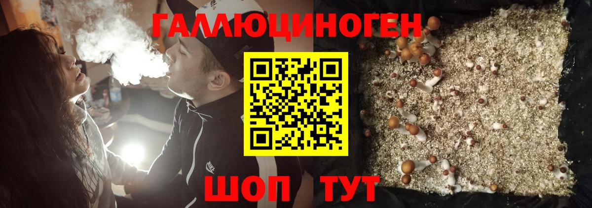 Псилоцибиновые грибы GOLDEN TEACHER Шатура